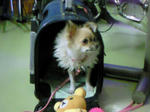 200812032041000.jpg