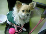 200812032109000.jpg