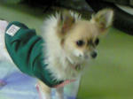 200812032042001.jpg