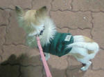 200812032035000.jpg