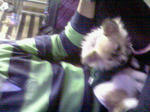 200812032252000.jpg
