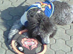 200901271302003.jpg