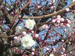 200902191226001.jpg
