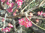 200902191226000.jpg