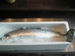 200903101235000.jpg