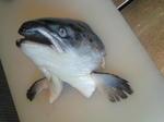 200903101241000.jpg