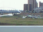 200903281232000.jpg