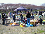 200903291312000.jpg