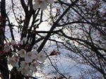 200903291608000.jpg