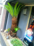 200905081325000.jpg