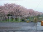 201004051303000.jpg
