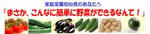家庭菜園