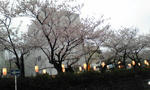 Image020.jpg