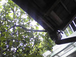 SBSH0351.JPG