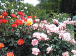 SBSH0365.JPG