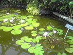 SBSH0359.JPG