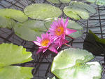 SBSH0376.JPG