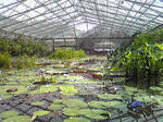 SBSH0377.JPG