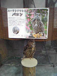 SBSH0383.JPG