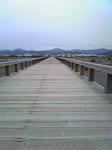 SBSH0386.JPG