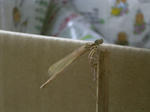 RIMG0673.JPG