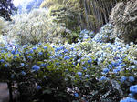 Image001.jpg