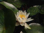 i-photo81.JPG