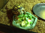 i-photo83.JPG