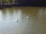 i-photo88.JPG
