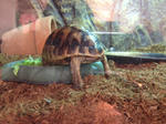 i-photo91.JPG