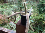 i-photo100.JPG