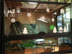 i-photo104.JPG
