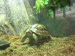 i-photo97.JPG