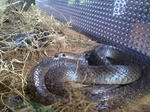 i-photo110.JPG