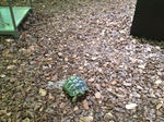 i-photo111.JPG