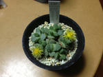 i-photo144.JPG