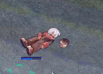 20080429_1.gif