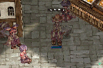 20080505_4.gif