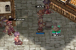 20080505_6.gif