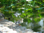 20080818_3.jpg