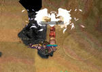 20080827_3.jpg