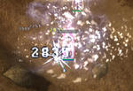 20080928_3.jpg