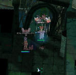 20081014_1.jpg