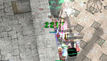 20100309_1.jpg