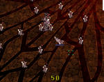 20100428_1.jpg