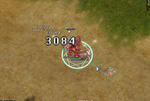 20100716_5.jpg