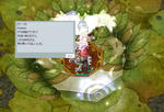 20110109_01.jpg
