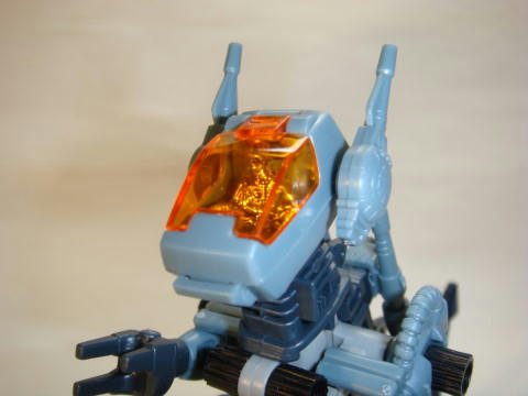 DSC00810.jpg
