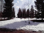 P2010279.JPG