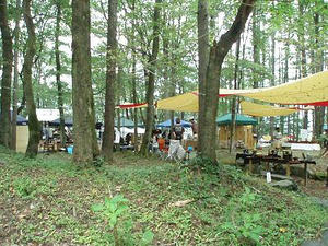 上野村